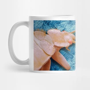 Bedbug, SEM (C013/2292) Mug